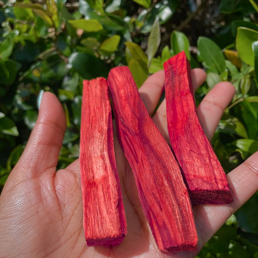Dragon's Blood Palo Santo
