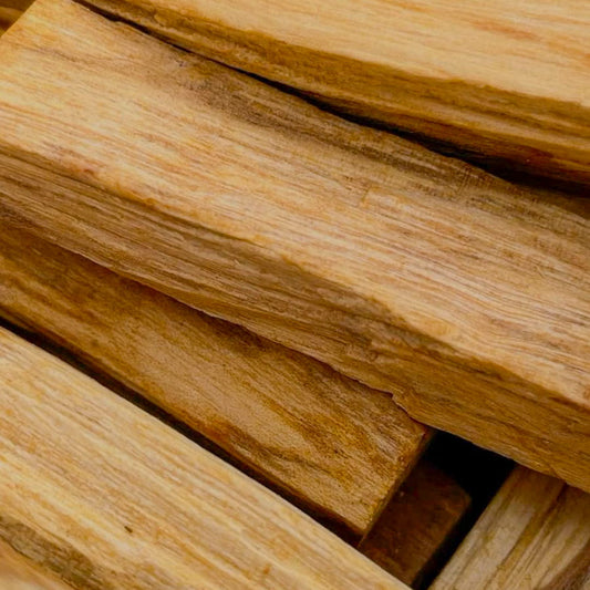 Palo Santo Incense Sticks - Oasis
