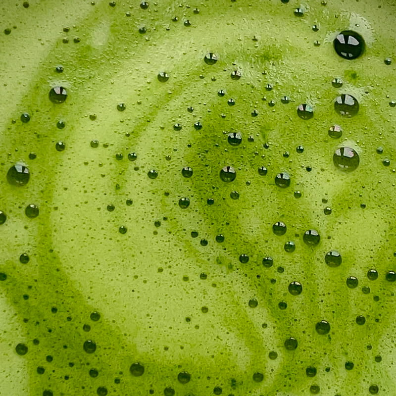 Matcha Incense Sticks - Fresh Matcha