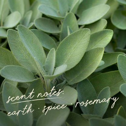 White Sage Smudge Sticks